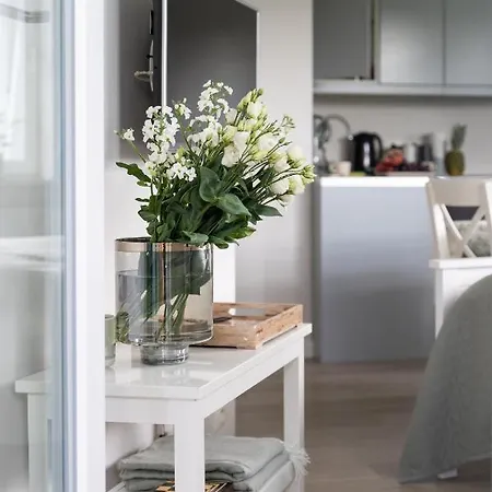 아파트 Anna 소포트